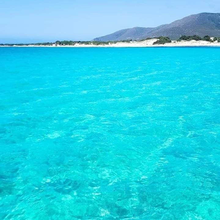 Casa Vacanze"Il Bouganville" Carbonia Eksteriør bilde